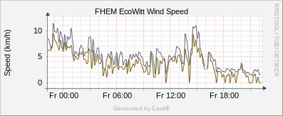 EcoWitt - Wind Speed