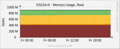 DS216+II - Memory Usage Real